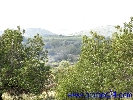 Image 14