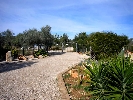 Image 33