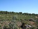Plot of Land in Sant Jordi