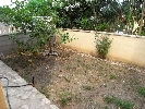Image 13