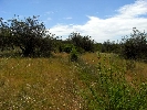 Plot of Land in Cálig