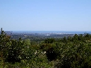 Propriété Rurale en Cervera