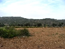 Finca San Mateo-Cervera