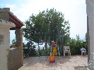 Image 21