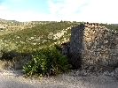 Propriété Rurale en Cervera