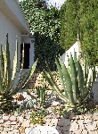 House in Peñiscola