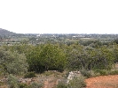 Finca Calig, Miguel