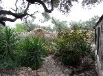 Finca San Rafael, Norbert