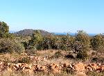 Finca Axel
